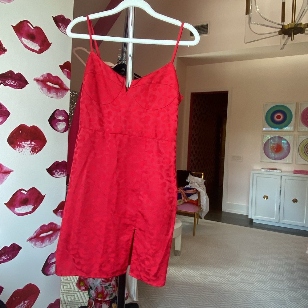 Blue Life Red Leopard Print Mini Dress